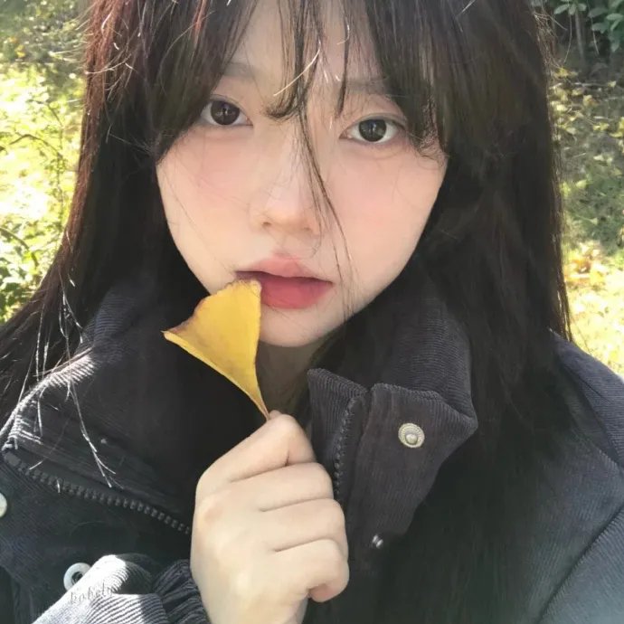 爱情与战争